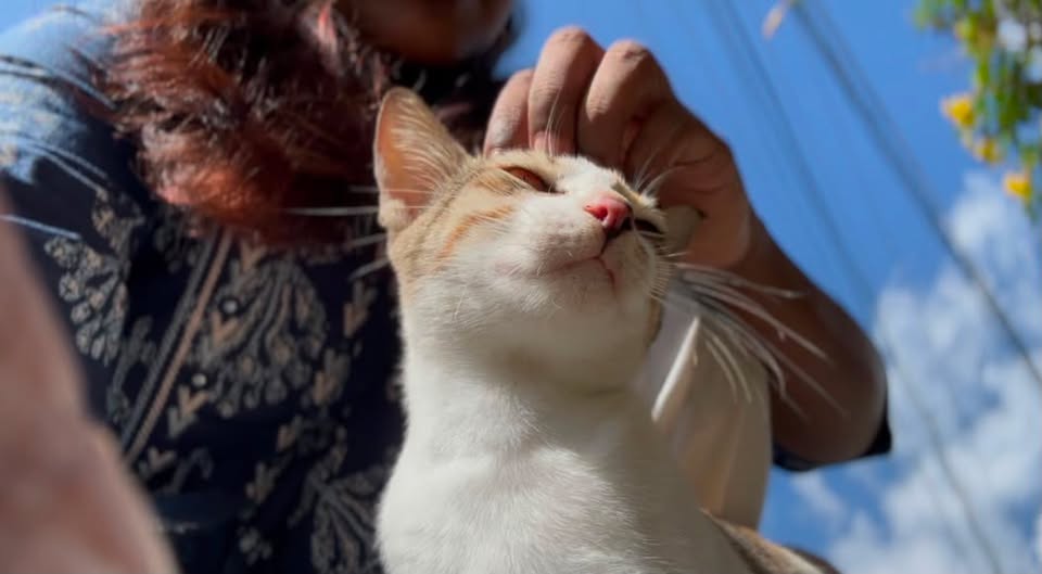 Anjali and Mascot Kitty