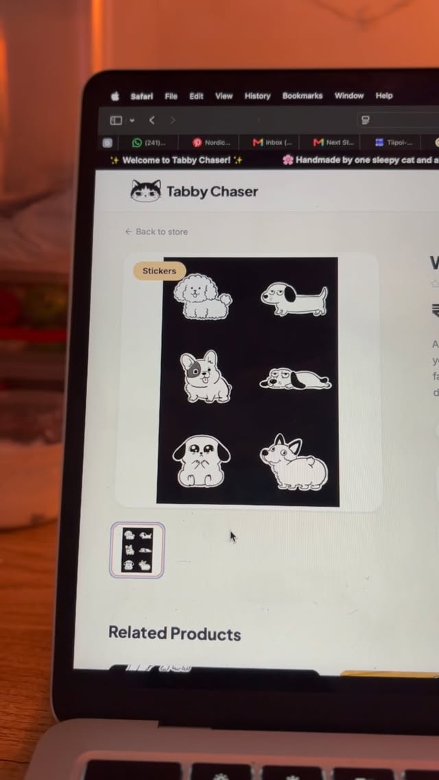 Tabby Chaser Post 5